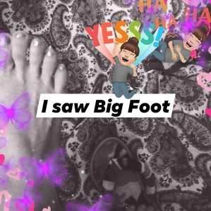 Meet your Posher, Robin